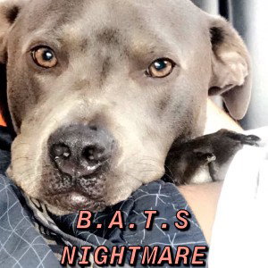 B.A.T.S NIGHTMARE