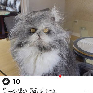 UNSAIDNUFEN (22:57)
