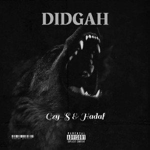 Didgah