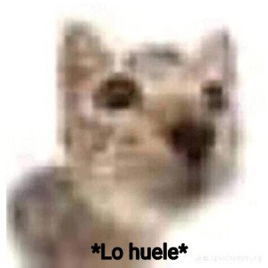 lo huele