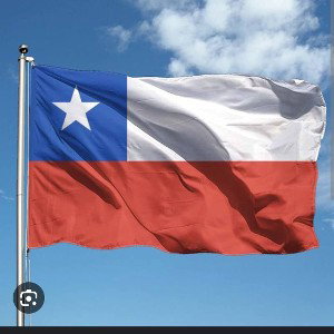 viva Chile