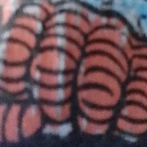 Slize dem