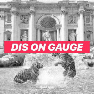 dis on gauge 