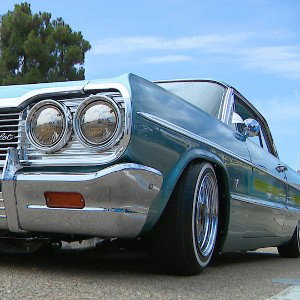 Star of the show  