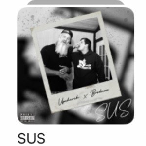 Music album