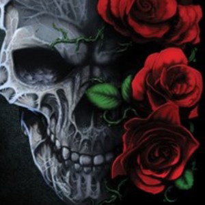 ☠️🌌If_I_ever_die🌌☠️