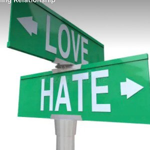 Vet City - Love Hate