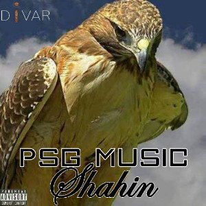 Shahin
