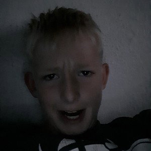 den vilde fest