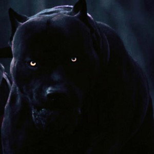 (Luz Oscura) Traición 