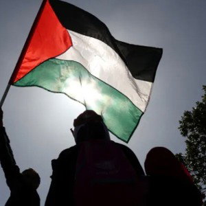 save Palestine 