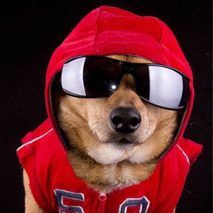 pup