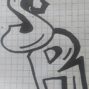 solo sr