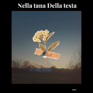 Nella tana Della testa