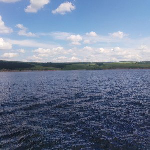 крик по ветру