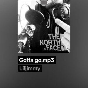gotta_go