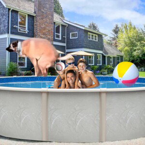 DOG POOP IN MY NEW POOL!?