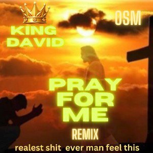  pray for me (remix)
