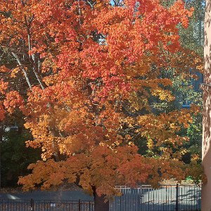 Юрий Шатунов. 