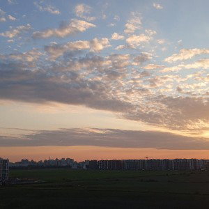 Мусора гондоны.