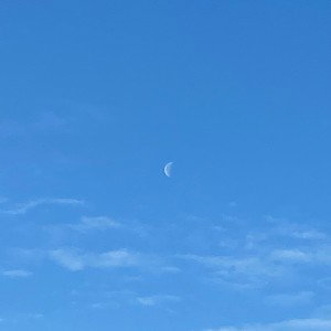 L.O