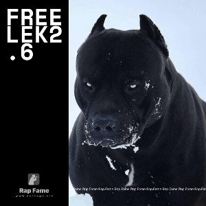 Freelek2.6