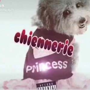 BRICE LCE CHIENNERIE map 