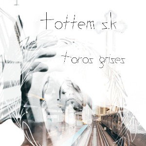 TOTTEM SKA - todo se cura  ( INTRO. )