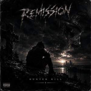 Remission (Andy Zvuk)