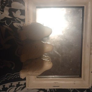 Turtle Dove Love : Heart in the Mirror