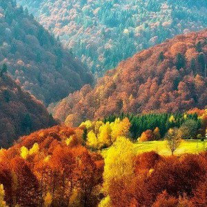 nature 