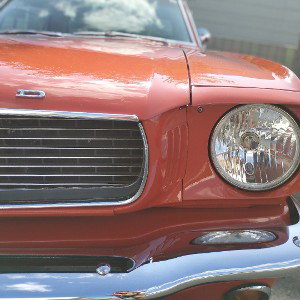 mustang!