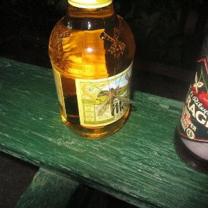 МЕЛЬНИК