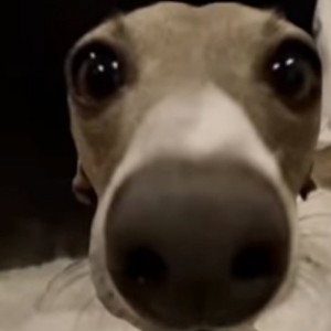  BRYYKZ 