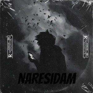 Naresidam (Freestyle)