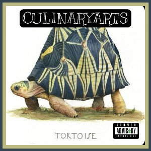Tortoise 🐢 