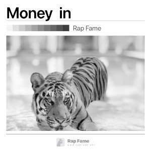 Money 💴 in 💼 