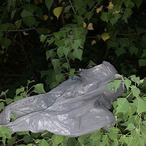 izu a plastic bag 