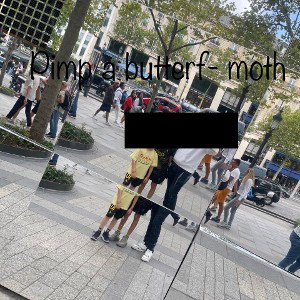 pimp a butterf-moth