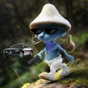 smurfer 