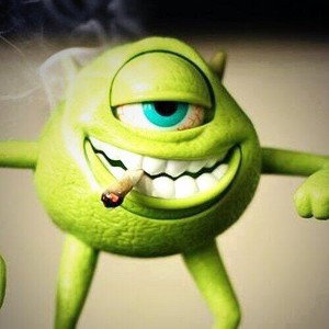 the mornin