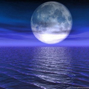 midnight - (instrumental) (80k! Exclusive