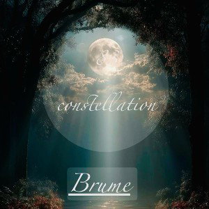 83 constellation - Brume 🙏🏽❤️🪶🛸🕊️