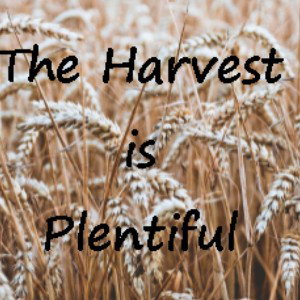 Plentiful 
