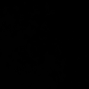 Blacked Out