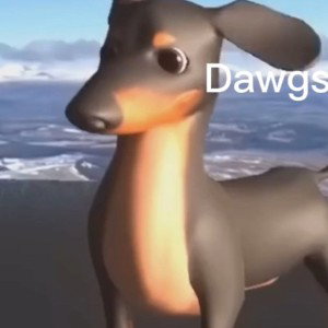 wiener dog