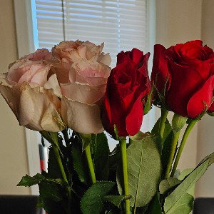 Flowers Given 