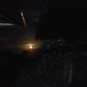 Grz zap (17:47)