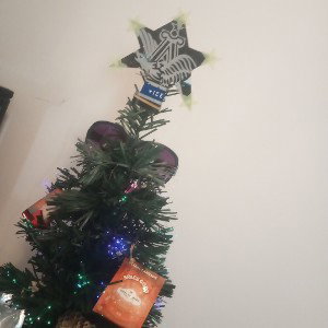 Xmas Scitsofenea 