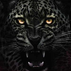 No Limit(freestyle)